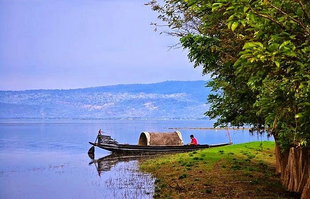 প্রতীকী ছবি। সংগৃহীত