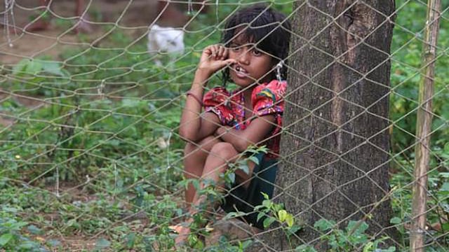 প্রথম আলো ফাইল ছবি