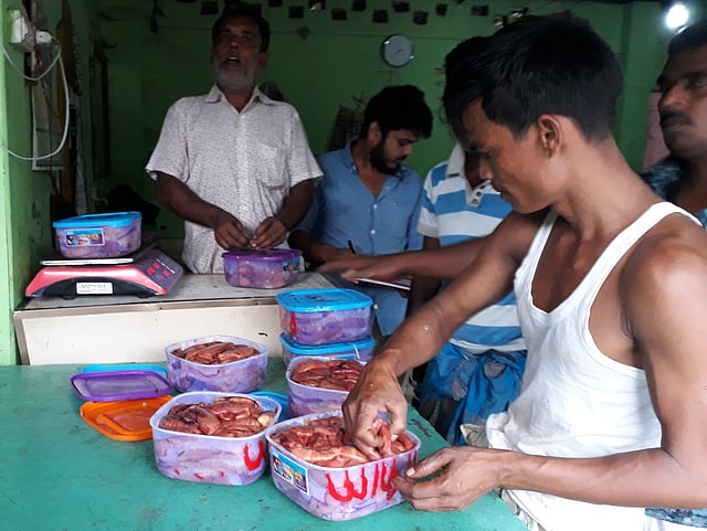 ইলিশের ডিম আলাদা পাত্রে রেখে ওজন করছেন শ্রমিকেরা। চাঁদপুর, ২৫ সেপ্টেম্বর। ছবি: প্রথম আলো