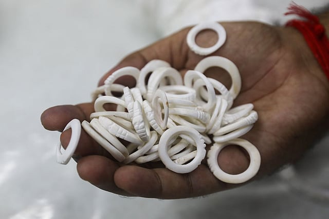 শাঁখা ছাড়া শঙ্খের তৈরি আংটিও বেশ চলে। তা ছাড়া রূপচর্চায় শঙ্খগুঁড়ারও চাহিদা বেশ।