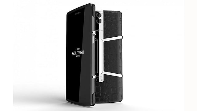 গোল্ডভিশ একলিপ্স