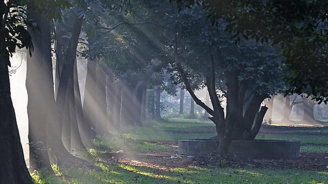 ছবি: প্রথম আলো