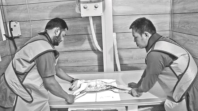 পূর্বাচলে টিচিং অ্যান্ড ট্রেনিং পেট হসপিটাল অ্যান্ড রিসার্চ সেন্টারে অসুস্থ কুকুরের এক্স–রে করা হচ্ছে। ছবিটি সম্প্রতি তোলা। সাবরিনা ইয়াসমীন