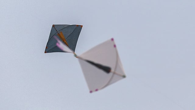 ঘুড়িতে ঘুড়িতে কাটাকাটির এই খেলা চলেছে দিনভরই।