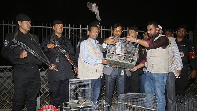র্যাবের অভিযানে উদ্ধার হওয়া পাখিগুলো সন্ধ্যায় অবমুক্ত করা হয়। ক্রিসেন্ট লেক, ঢাকা, ২০ জানুয়ারি। ছবি: আবদুস সালাম