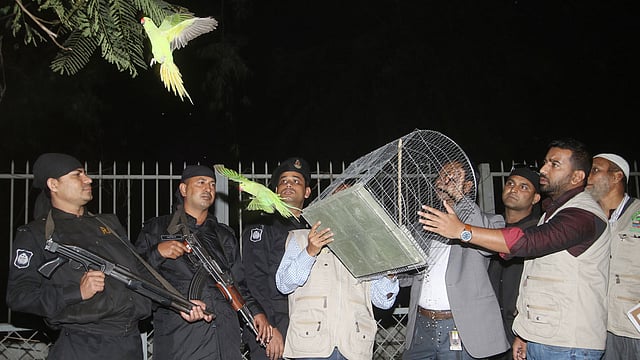 বন্দী দশামুক্ত পাখি। ক্রিসেন্ট লেক, ঢাকা, ২০ জানুয়ারি। ছবি: আবদুস সালাম