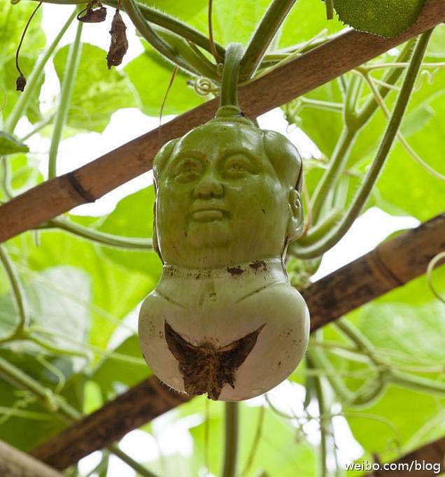 লাউয়ের এই ভাস্কর্য চীনে এখন বেশ জনপ্রিয়