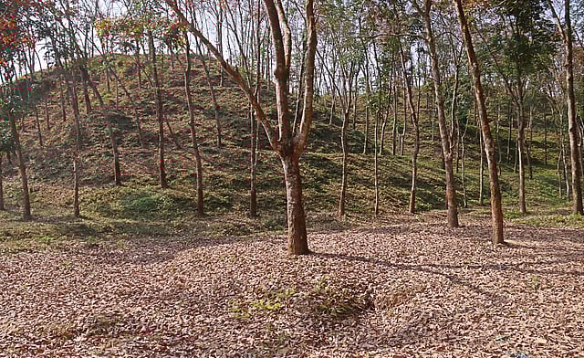 সবুজ টিলার কোলে ঝরা পাতা