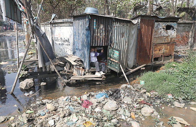 নোংরা পানির ধারে রাসেলদের বাসা।