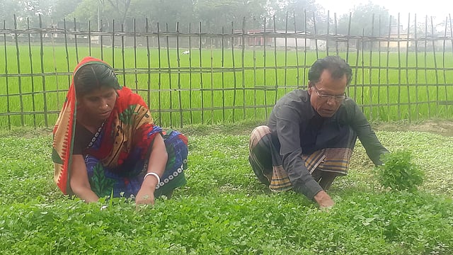 মৌলভীবাজারের কমলগঞ্জে খামারের মালিক অপর্ণা রানী নাথ। তাঁর কাজে সহায়তা করছেন স্বামী ক্ষীতেশ দেবনাথ। ছবি: মানসুরা হোসাইন