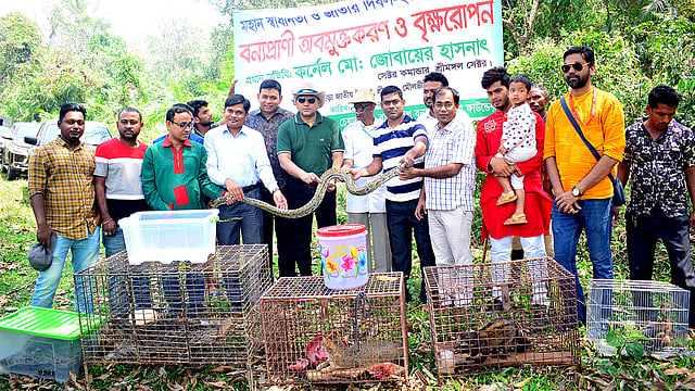 মহান স্বাধীনতা ও জাতীয় দিবস উপলক্ষে বাংলাদেশ বন্য প্রাণী সেবা ফাউন্ডেশনের উদ্যোগে বিপন্ন ১১টি বন্য প্রাণী অবমুক্ত করা হয়েছে। ছবিটি আজ মঙ্গলবার মৌলভীবাজারের লাউয়াছড়ার আমতলী এলাকা থেকে তোলা। ছবি: শিমুল তরফদার