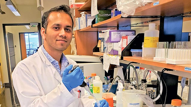 হাবিবুল হাসান মজুমদার, ওয়েস্ট ভার্জিনিয়া ইউনিভার্সিটি, যুক্তরাষ্ট্র