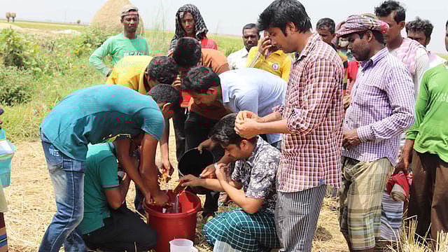 চলনবিলে ধান কাটা শ্রমিকদের স্যালাইন-মিশ্রিত ঠান্ডা পানি পান করাচ্ছেন উপজেলা ছাত্রলীগের নেতা-কর্মীরা। গুরুদাসপুর, নাটোর, ২৯ এপ্রিল ২০১৯। ছবি: প্রথম আলো