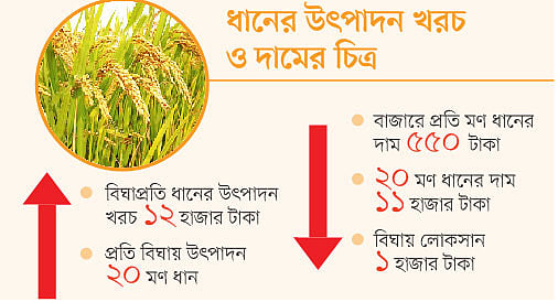 ধানের উৎপাদন খরচ ও দামের চিত্র