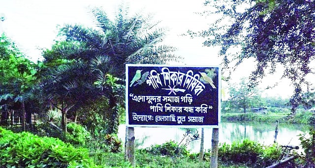 পৃথিবীর সব স্থানে নিষিদ্ধ হোক পাখি শিকার