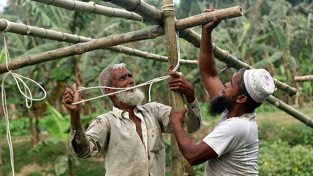 স্থানীয় লোকজনকে সঙ্গে নিয়ে সেতু তৈরি করছেন জাহিদুল