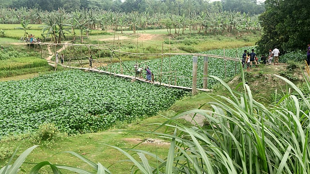 জাহিদুলের গড়া সেতুতে চলছে পারাপার