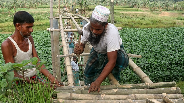 বাঁশের সেতু নির্মাণে স্থানীয় লোকজনের সহযোগিতা