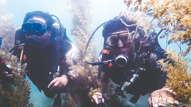 বঙ্গোপসাগরের শৈবালের দুনিয়ায় স্কুবা ডাইভার আতিকুর রহমানের সঙ্গে শরীফ সারওয়ার (বাঁয়ে)