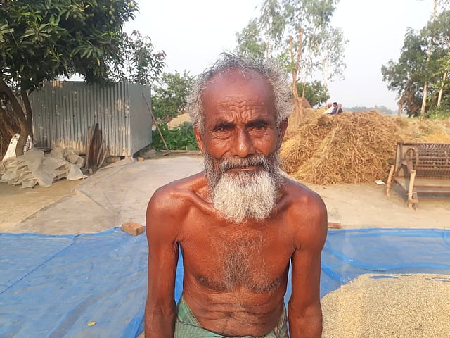 বয়সের ভারে ন্যুব্জ টাঙ্গাইলের মির্জাপুরের গেড়াকি গ্রামের বাদশা মিয়া। এবার তিন বিঘা জমিতে ধান চাষ করেছেন তিনি। ছবি: আসাদুজ্জামান