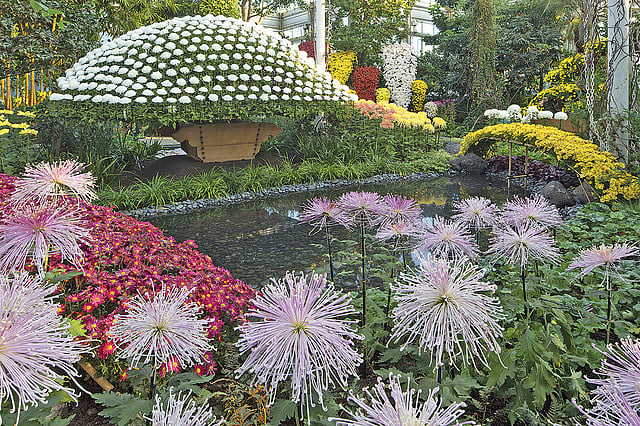 নিউইয়র্ক বোটানিকাল গার্ডেন