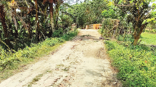 সংস্কারের অভাবে সড়কটি চলাচলের অনুপযোগী হয়ে পড়েছে। ছবি: প্রথম আলো
