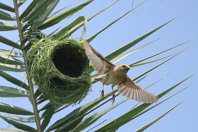 সারা দিন চলে বাসায় যাওয়া-আসা।