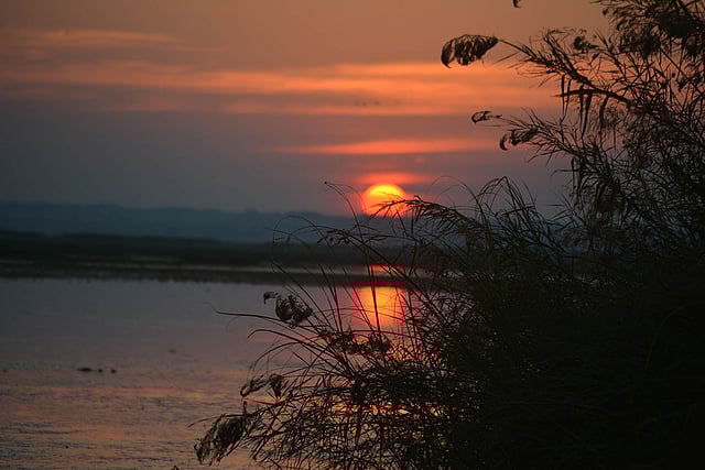 সন্ধ্যা নেমেছে হাইল হাওরে। ছবি: শিমুল তরফদার