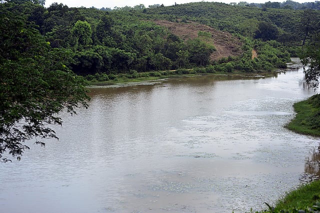 শ্রীমঙ্গলের বিশেষ আকর্ষণ ভাড়াউড়া লেক। ছবি: শিমুল তরফদার