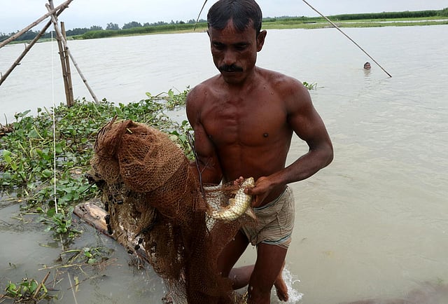 জালে ধরা পড়েছে রিঠা মাছ।