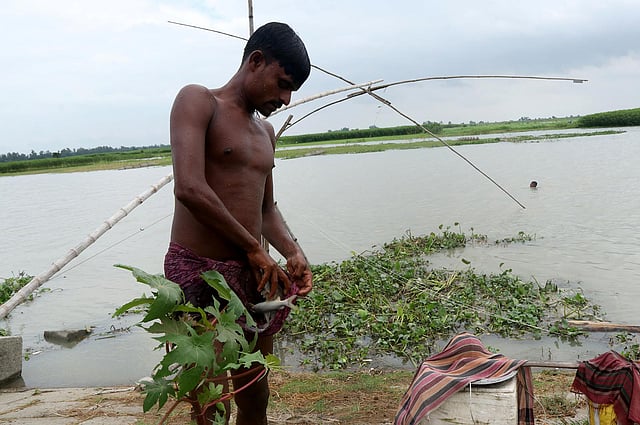 কোঁচড়ভরা নদীর মাছ।