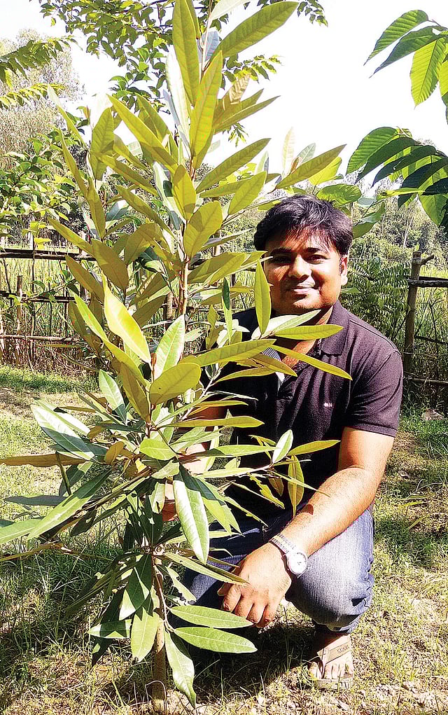 নিজের বাগানে সুন্দরীগাছের সামনে মাহবুব ইসলাম। সম্প্রতি সিরাজগঞ্জের কামারখন্দে বাজারভদ্রঘাট শেখপাড়া গ্রামে। প্রথম আলো
