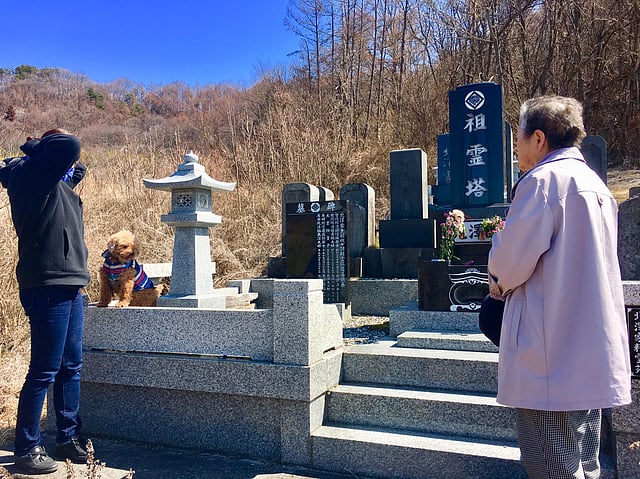 পারিবারিক সমাধিতে