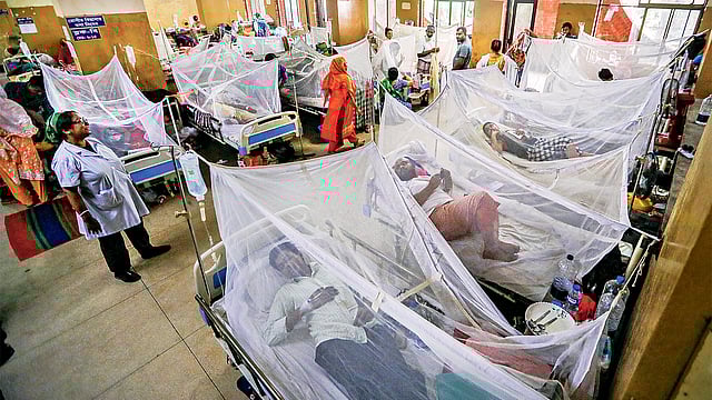 ডেঙ্গুতে আক্রান্ত মানুষের সংখ্যা বাড়ছে। প্রাণহানির সংখ্যাও উদ্বেগজনক। মশার কামড় থেকে বাঁচতে বাসাবাড়ির পাশাপাশি হাসপাতালেও মশারির ব্যবহার হচ্ছে। গতকাল শহীদ সোহরাওয়ার্দী মেডিকেল কলেজ হাসপাতালে। ছবি: সাজিদ হোসেন
