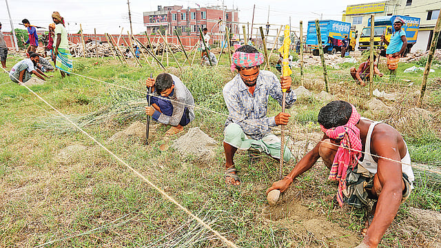 নির্দিষ্ট সময়ের আগেই চলছে কোরবানির পশুর হাটের প্রস্তুতি। গত বুধবার রাজধানীর বছিলা এলাকায়। ছবি: জাহিদুল করিম