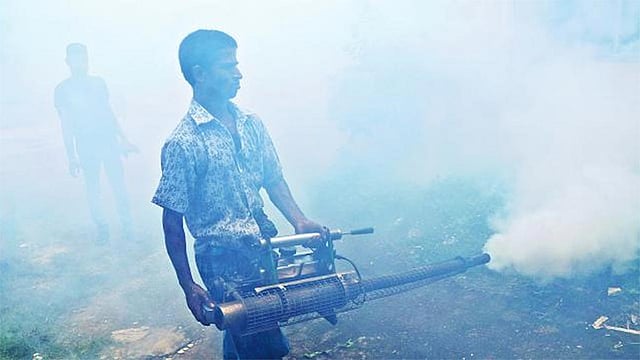 ছবি: প্রথম আলো