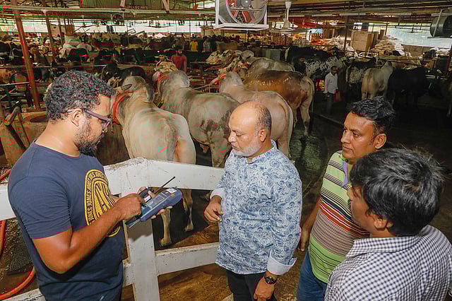 মোহাম্মদপুরের বসিলা এলাকার একটি খামারে গরু কিনে কার্ড দিয়ে দাম পরিশোধ করছেন একজন ক্রেতা। ঢাকা, ০৫ আগস্ট। ছবি: আশরাফুল আলম