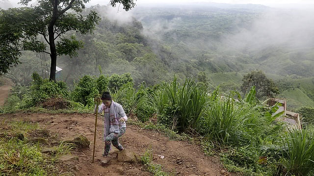 পর্যটকদের পাহাড়ের বেয়ে উঠতে হলে অবশ্যই বাঁশের লাঠি ব্যবহার করতে হয়। পাহাড়ের গোড়ায় এসব বাঁশ ভাড়া দেয় ১০ টাকা করে।