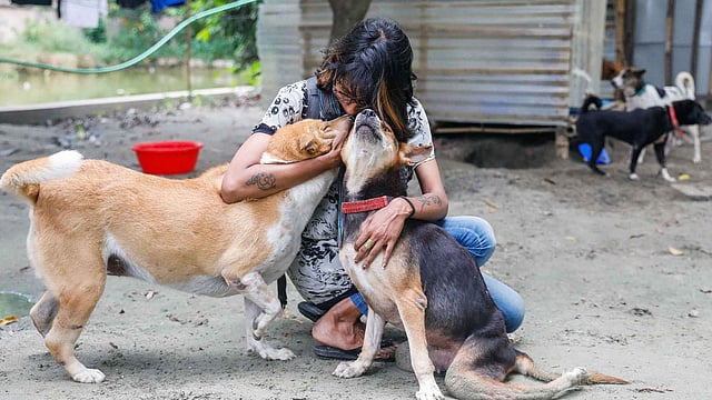 প্রাণীগুলোকে সব সময় আগলে রাখেন দীপান্বিতা। ছবি: দীপু মালাকার