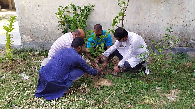 কসবা বন্ধুসভার বৃক্ষ রোপণ কর্মসূচি
