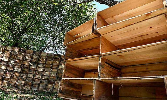 ইচ্ছে করেই আপেল গাছ থেকে তুলছেন না চাষিরা, আপেলের খালি বাক্স পড়ে রয়েছে। ছবি: এএফপি