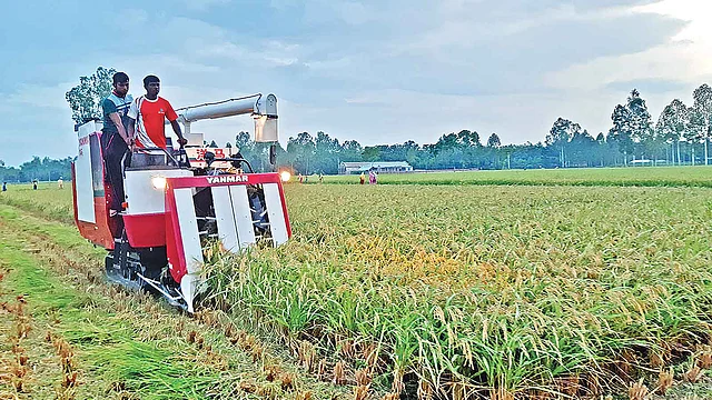 কৃষিকাজের আধুনিক যন্ত্রপাতির ব্যবহার বাড়ছে। ইয়ানমার কম্বাইন্ড হারভেস্টরের সাহায্যে মাঠে ধান কাটছেন কৃষক। ছবি: সৌজন্যে