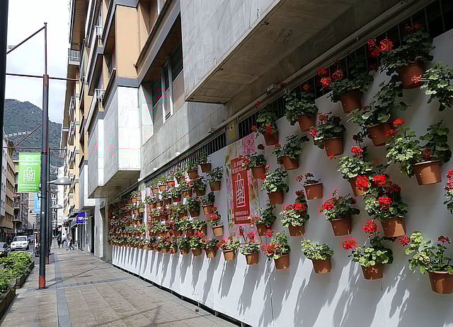 রাজধানী আন্দরা-লা-ভেইয়ার রাস্তার পশে একটি বাড়ির দেয়াল। জেরানিয়াম ফুল ছবির মতো সুন্দর শহরটির সৌন্দর্য আরো বাড়িয়ে দিয়েছে। ছবি: লেখক