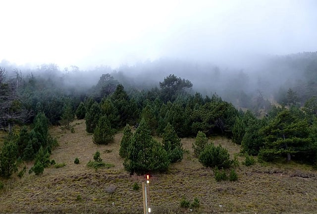 আন্দোরার অর্থনীতি প্রায় পুরোটাই পর্যটনের ওপর নির্ভরশীল। ছবি: লেখক