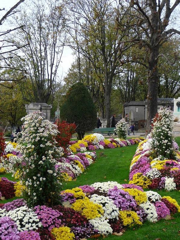 ফুলে ফুলে ছেয়ে গেছে সমাধি। ছবি: লেখক