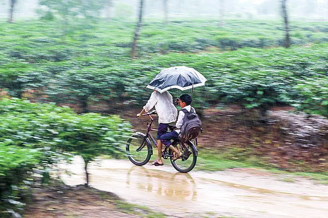 ‘ছেলেবেলায় আমার শহরে বৃষ্টি পড়ত দিনের পর দিন, বিরতিহীন’, সিলেটে ঝুম বৃষ্টির দিনে। ছবি: আনিস মাহমুদ