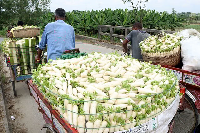 ভ্যানে করে মহাস্থান হাটে মুলা নিয়ে যাচ্ছেন কৃষকেরা