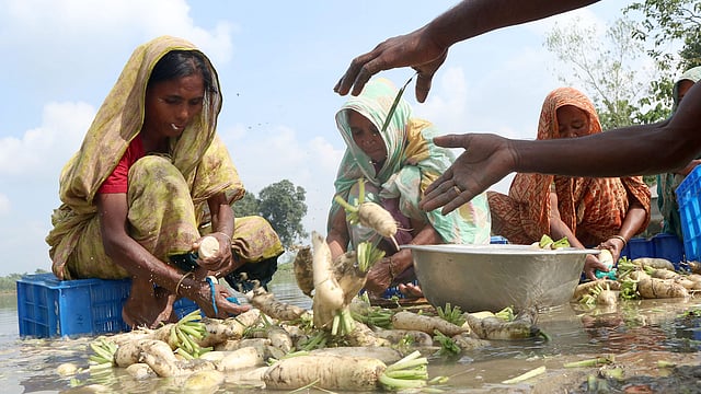 মাটি পরিষ্কার করা হচ্ছে