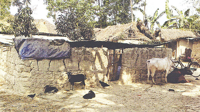 দিনাজপুর জেলার রঙ্গন গ্রামে কোরা জনগোষ্ঠীর বাড়ি। ছবি: ফিলিপ গাইন (অন দ্য মার্জিনস বই থেকে)