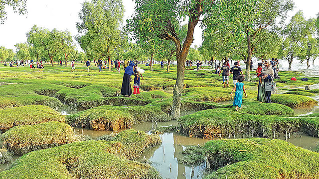 সবুজ বিছানো সীতাকুণ্ডের গুলিয়াখালী সৈকত। সাম্প্রতিক ছবি। প্রথম আলো